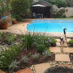3* Guest house Calico